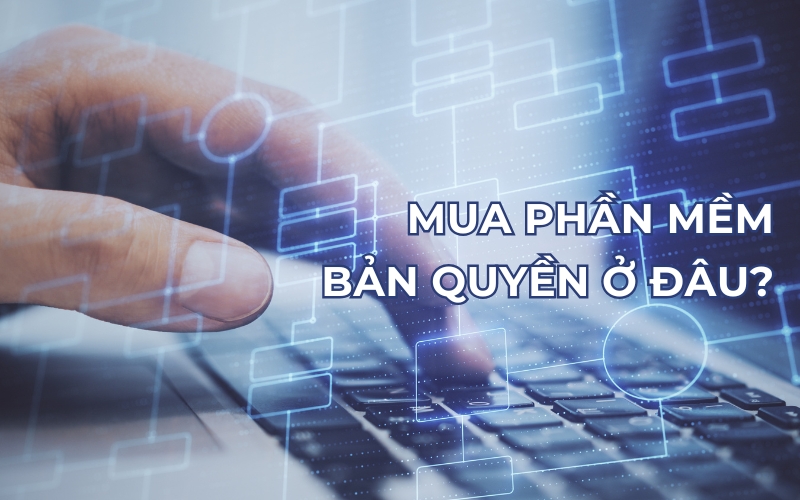 mua phần mềm bản quyền ở đâu